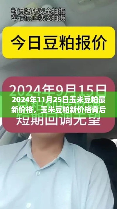 玉米豆粕最新价格揭秘，学习变化，自信成就梦想