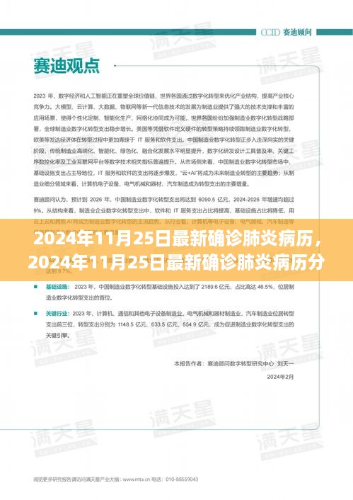 2024年11月25日最新确诊肺炎病例分析与观察，疫情动态及应对策略