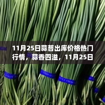 11月25日蒜苔出库价格行情揭秘，蒜香四溢的市场趋势