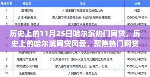 历史上的哈尔滨网贷风云，聚焦热门网贷事件变迁的变迁之路