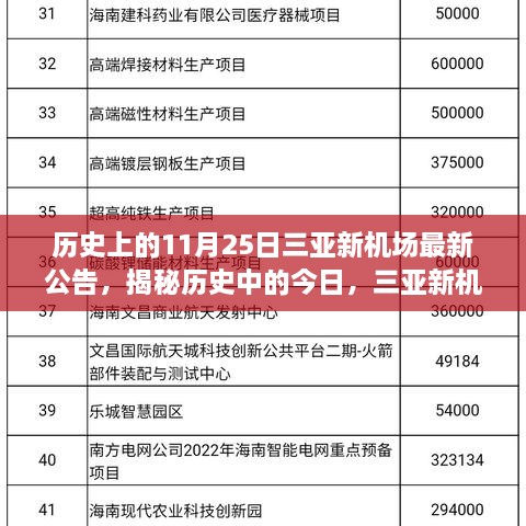 揭秘历史中的今日，三亚新机场最新公告与小巷深处的独特小店探秘之旅！