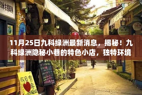 九科绿洲隐秘小巷的特色小店探秘，最新消息与独特环境体验