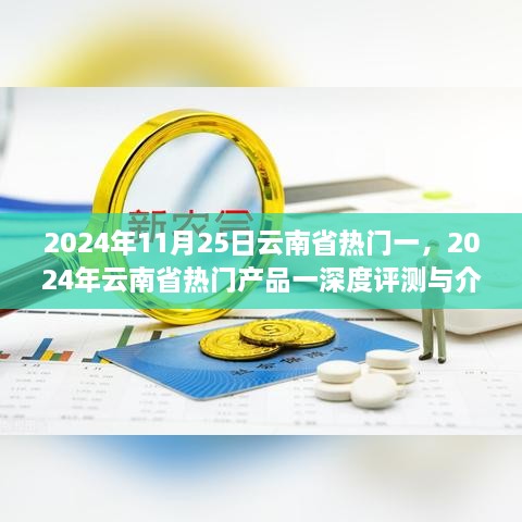 2024年云南省热门产品深度评测与介绍