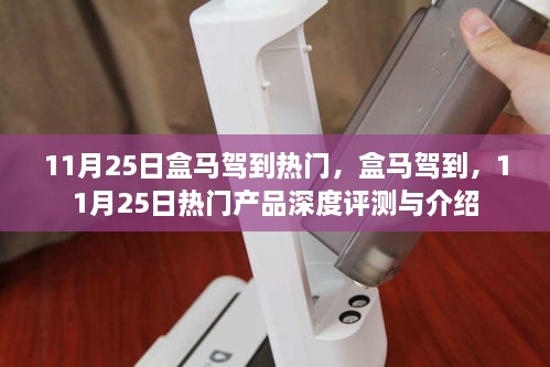 盒马驾到热门产品深度评测与介绍，11月25日精选推荐