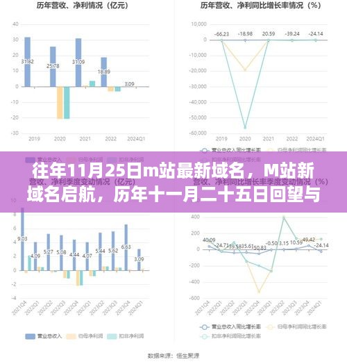 历年11月25日M站新域名回顾与前瞻，启航新征程