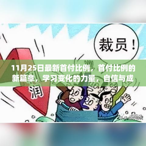 首付比例新篇章，学习变化的力量，自信与成就感的崛起——11月25日最新更新