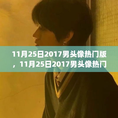 11月25日2017男头像热门版，全面评测与详细介绍