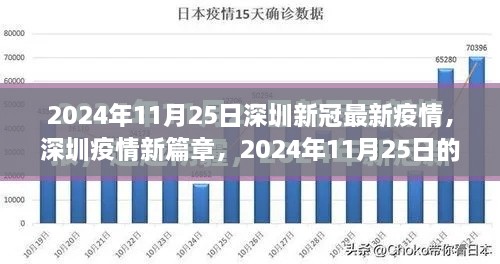 2024年11月25日深圳新冠疫情最新动态，抗疫新篇章的启程