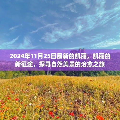 凯丽的新征途，探寻自然美景的治愈之旅（2024年11月25日最新动态）