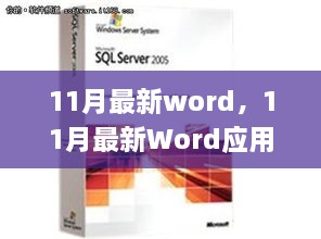 11月最新Word应用，创新与挑战的交织