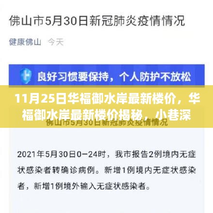 华福御水岸最新楼价揭秘，小巷深处的隐藏瑰宝，11月25日最新价格出炉！