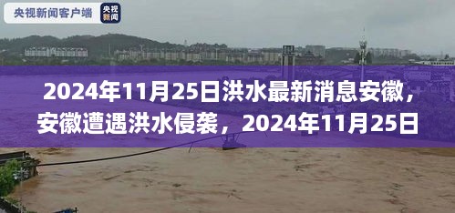 安徽遭遇洪水侵袭，最新消息与应对举措（2024年11月25日）