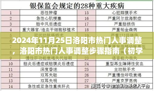 2024年11月25日洛阳市人事调整步骤指南，从初学者到进阶用户的全面解析