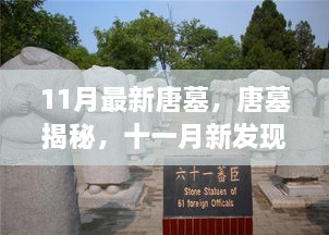 十一月最新唐墓发现揭示历史长河之谜