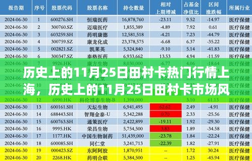 历史上的11月25日田村卡市场风云，上海行情深度解析与热门行情回顾