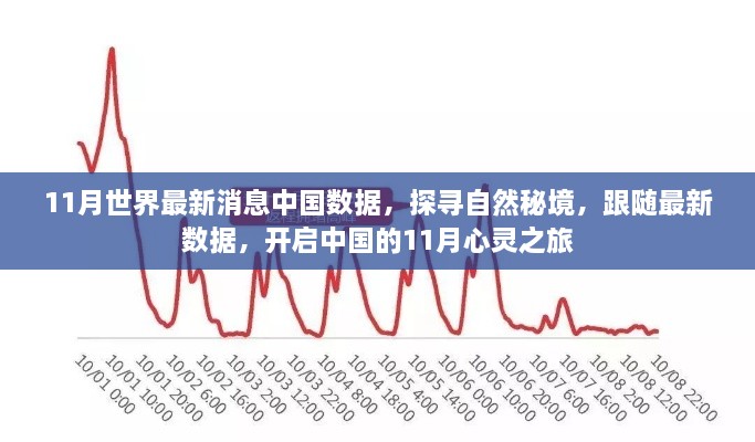 探寻自然秘境，跟随最新数据开启中国心灵之旅的十一月数据报告