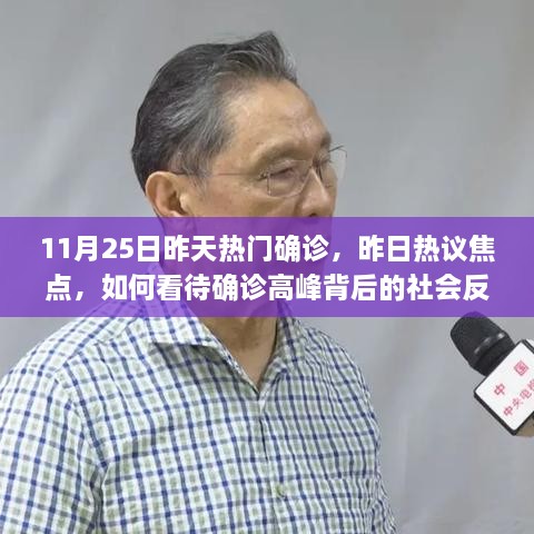 确诊高峰背后的社会反应与应对策略，深度分析与热议焦点