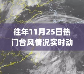 往年11月25日台风实时动态启示录，逆风破浪的励志灯塔与实时动态观察