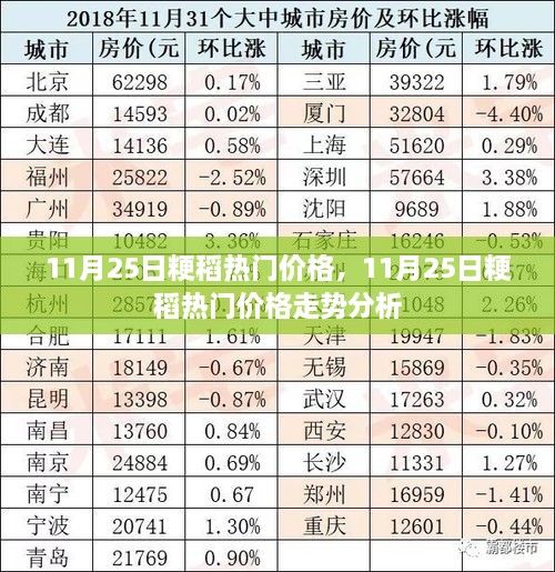 11月25日粳稻热门价格及走势分析