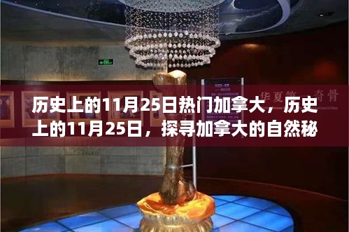 历史上的11月25日热门加拿大，历史上的11月25日，探寻加拿大的自然秘境，心灵之旅启程时刻