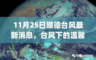 2024年11月 第127页