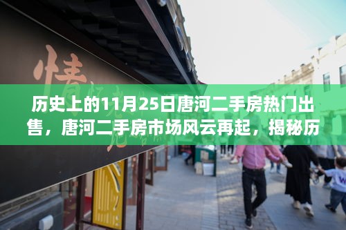 揭秘唐河二手房市场风云，历史上的11月25日热门出售背后的故事