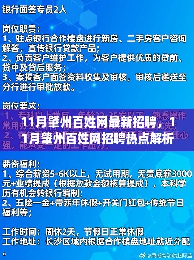 11月肇州百姓网招聘热点解析，最新岗位信息与求职指南