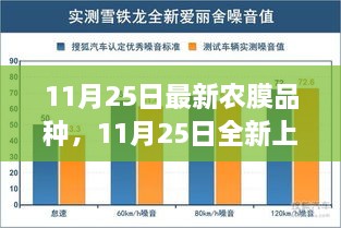 2024年11月 第126页