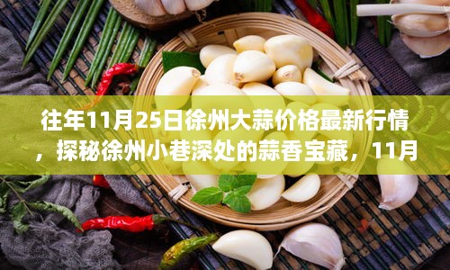 探秘徐州大蒜宝藏，11月25日最新行情与独特风味体验之旅