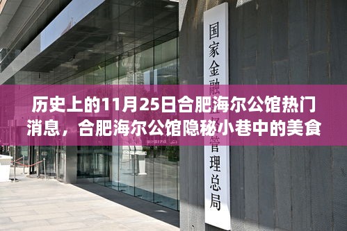 揭秘合肥海尔公馆美食秘境与历史上的热门瞬间，11月25日的隐秘小巷故事