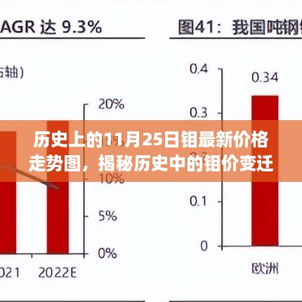 2024年11月 第119页