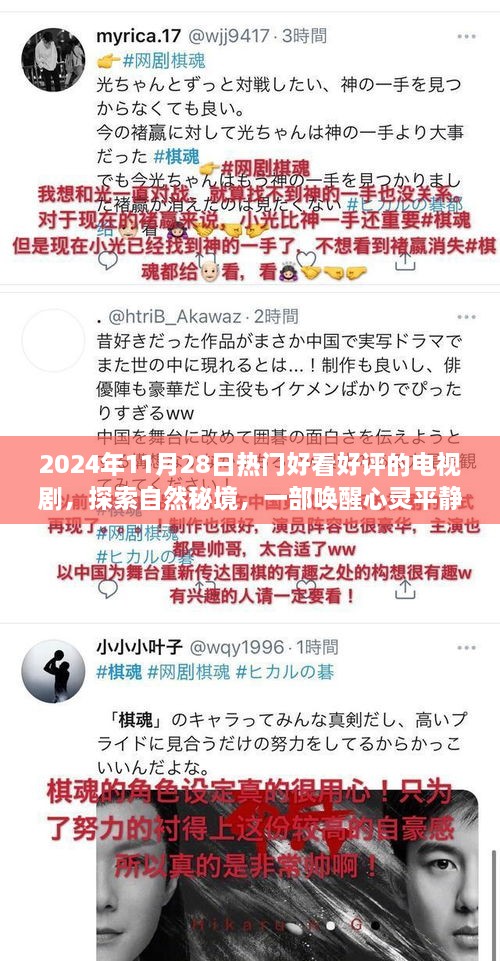 心灵之旅，探索自然秘境的电视剧盛宴，带你领略2024年11月28日的自然美景