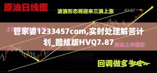 管家婆1233457com,实时处理解答计划_酷炫版HVQ7.87