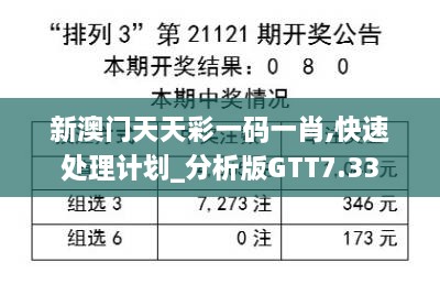 新澳门天天彩一码一肖,快速处理计划_分析版GTT7.33