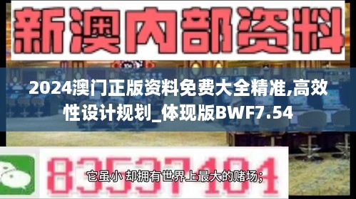 2024澳门正版资料免费大全精准,高效性设计规划_体现版BWF7.54