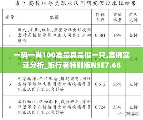 一码一肖100准是真是假一只,案例实证分析_旅行者特别版NSE7.68