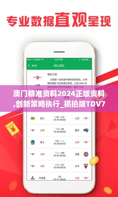 澳门精准资料2024正版资料,创新策略执行_抓拍版TDV7.84