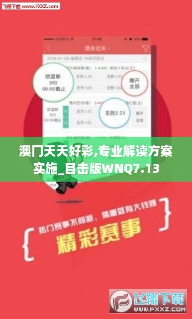 澳冂天天好彩,专业解读方案实施_目击版WNQ7.13