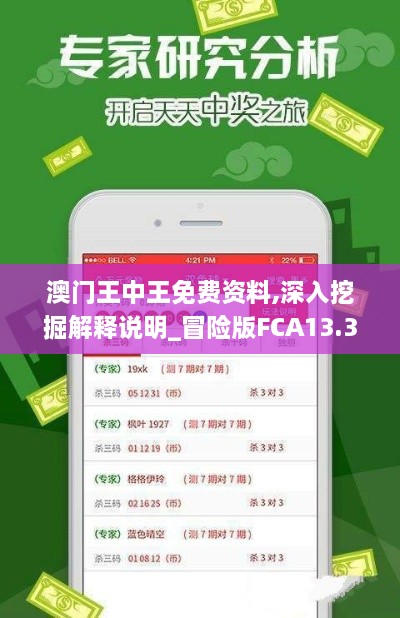 澳门王中王免费资料,深入挖掘解释说明_冒险版FCA13.34