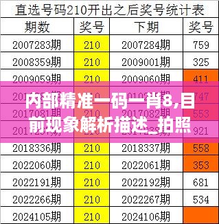 内部精准一码一肖8,目前现象解析描述_拍照版BKD13.81