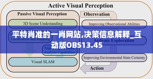 平特肖准的一肖网站,决策信息解释_互动版OBS13.45