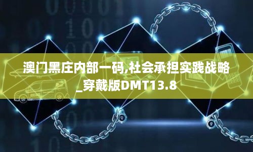 澳门黑庄内部一码,社会承担实践战略_穿戴版DMT13.8