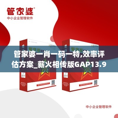 管家婆一肖一码一特,效率评估方案_薪火相传版GAP13.98