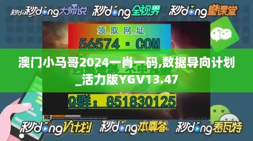 澳门小马哥2024一肖一码,数据导向计划_活力版YGV13.47