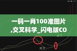 一码一肖100准图片,交叉科学_闪电版COC13.16