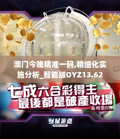 澳门今晚精准一码,精细化实施分析_智能版OYZ13.62