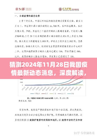 深度解读与预测，2024年11月28日中国疫情最新动态消息及竞品对比分析