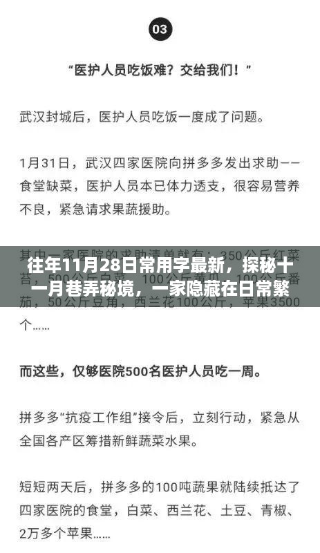 探秘日常繁华中的隐秘秘境，十一月巷弄特色小店揭秘