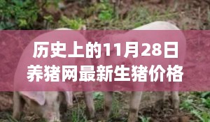 历史上的11月28日养猪网最新生猪价格动态与小巷特色小店探秘