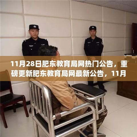 肥东教育局网最新公告与教育动态一网打尽（11月28日更新）